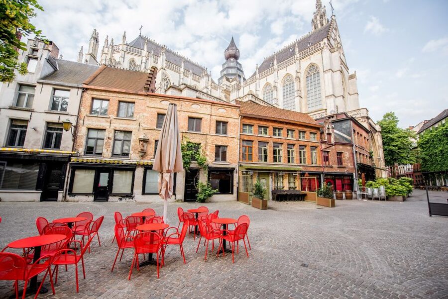 Antwerp: Express Walk with a Local in 60 minutes - Cathedral of Our Lady to Rubenshuis: The Two Anchors That Explain the City