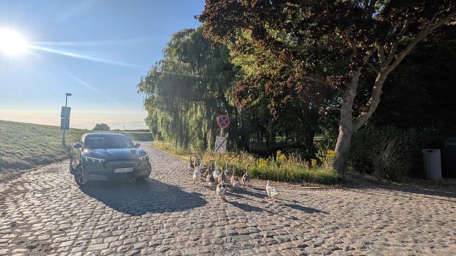 Antwerp: Private Port Tour with Expert Guide and Car - Antwerp’s Chemical Cluster, Silos, and Why It’s Here