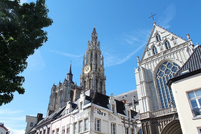 Antwerp Private Walking Tour With A Professional Guide - Where the Tour Starts and Ends, and Why That Matters