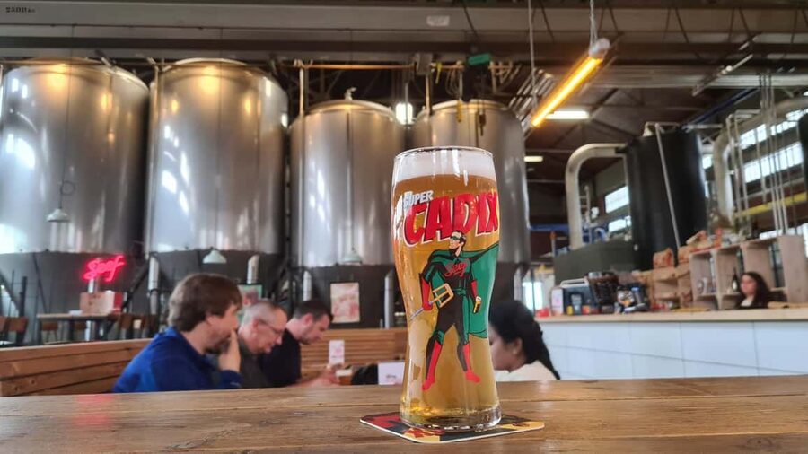 Antwerp: Pub Crawl in the Historical City - The third pub visit: where advice and choice meet
