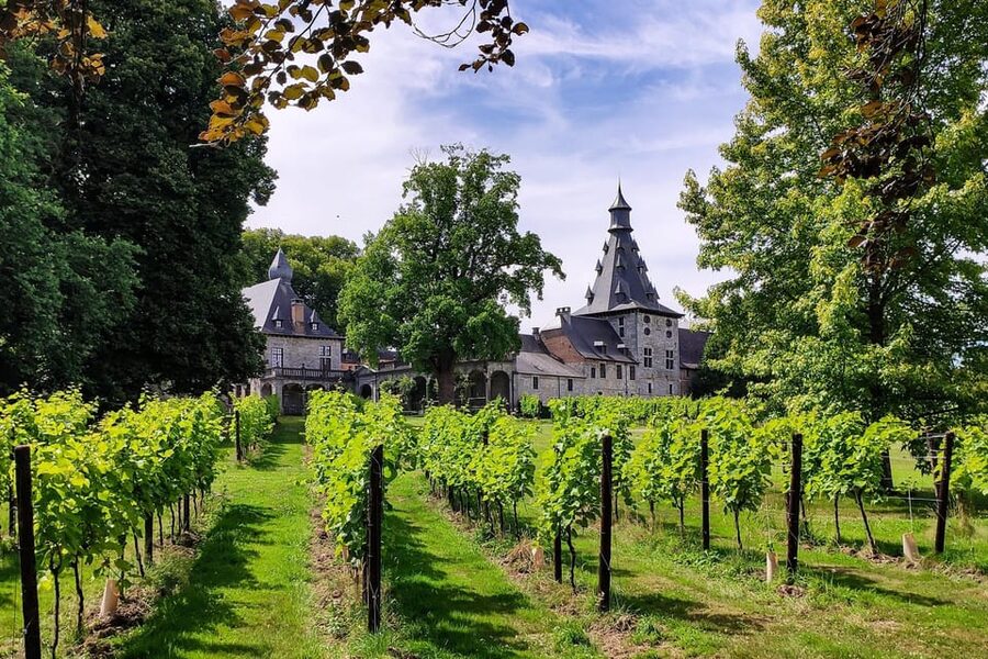 Bioul (near Dinant) : Château de Bioul Tour and Wine Tasting - Key highlights worth planning around
