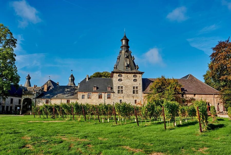 Bioul (near Dinant) : Château de Bioul Tour and Wine Tasting - Entering the château grounds: architecture, rooms, and the centenary park