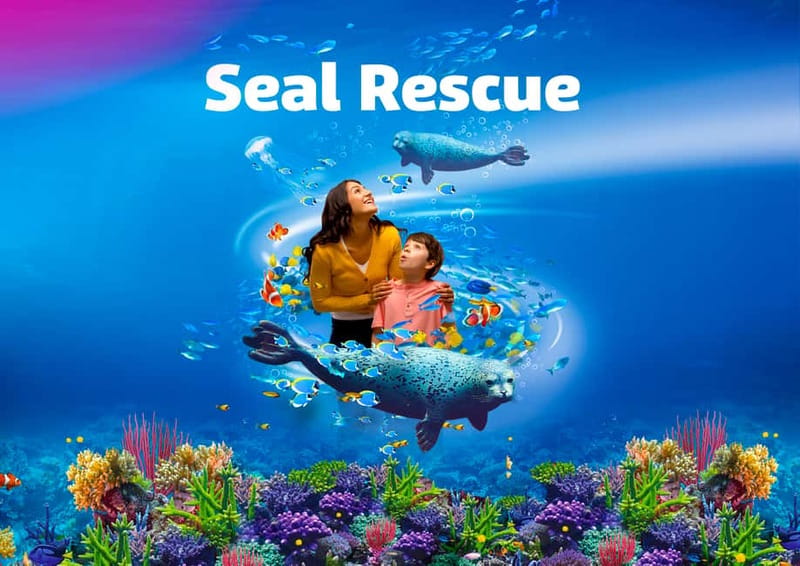 Blankenberge: SEA LIFE Entry Ticket - Seahorses, piranhas, and the Amazon-style storytelling of habitats