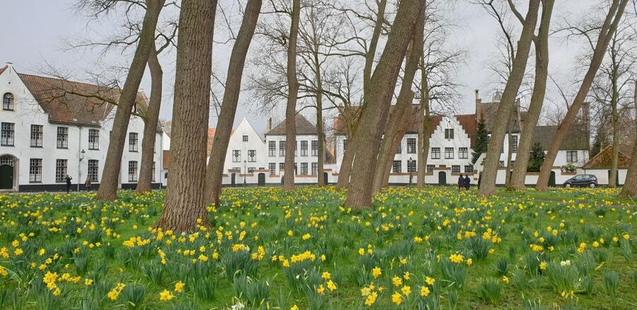 Bruges: 2.5-Hr Walking Tour from train station to Markt - From Bargeplein to Markt: how this 2.5-hour plan actually feels