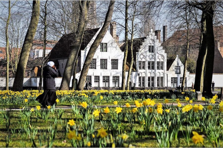 Bruges Beer and Chocolate Walking Tour - Where You Start at the Burg and Why It Sets the Tone