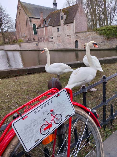 Bruges, Bike Tour with Chocolate Tasting & Hot Wine/Chocolat - Meeting at Grauwwerkersstraat 29, then rolling on retro bikes