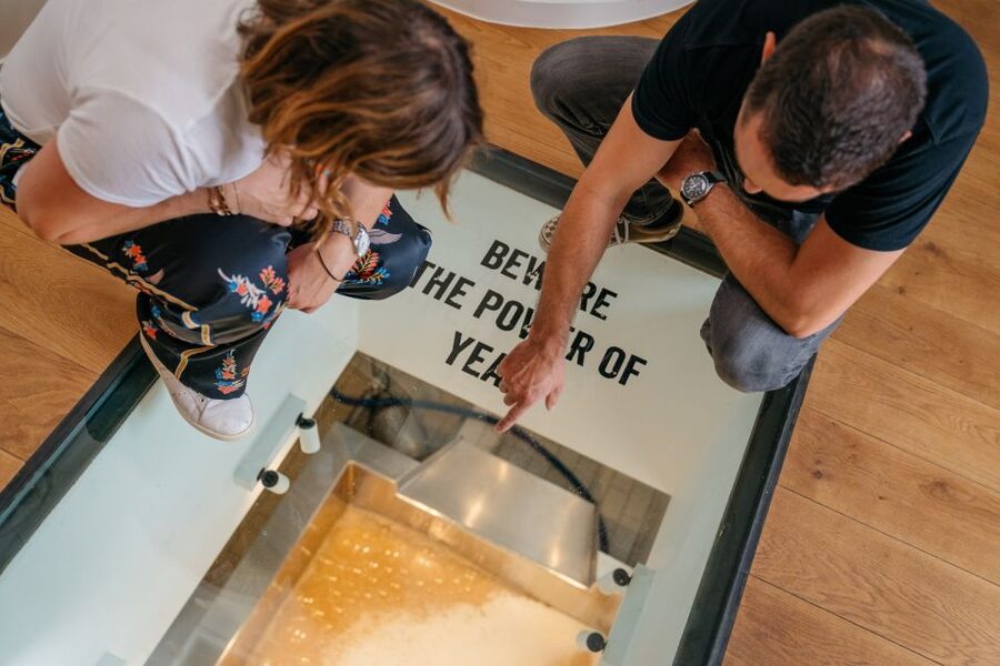 Bruges: Bourgogne des Flandres Brewery and Distillery Visit - Watching live brewing in the loft: the moment it clicks