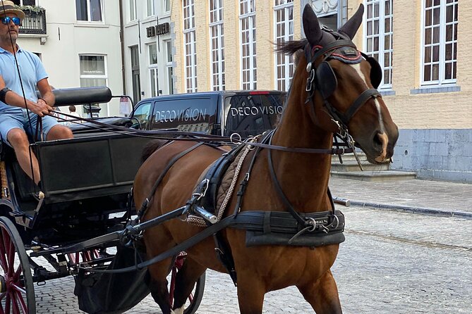 Bruges by a Local: Exciting Stories, Mysteries, People and Choco - Burg Square and the Holy Blood Basilica Moment