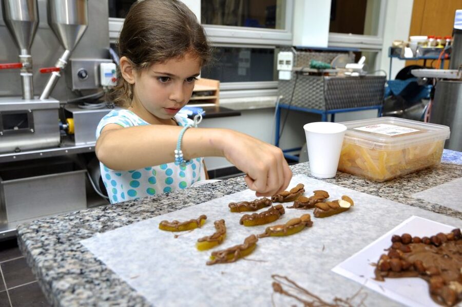 Bruges: Chocolate Making Workshop and Chocolate Museum Entry - Key Highlights You Should Know