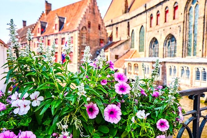 Bruges Delights - Best Tour Designed for Cruise Passengers - Price and what you really get for $81.88