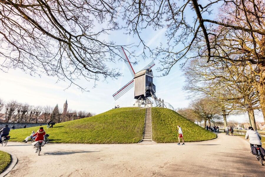 Bruges: Musea Brugge Card with Entry to 11 Museums - Belfort and Carillon in 72 hours: the 366 steps are part of the deal