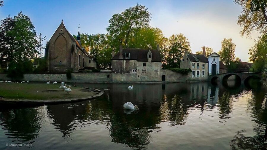 Bruges: Private Historical Highlights Walking Tour - Quick highlights of this Bruges private walking tour