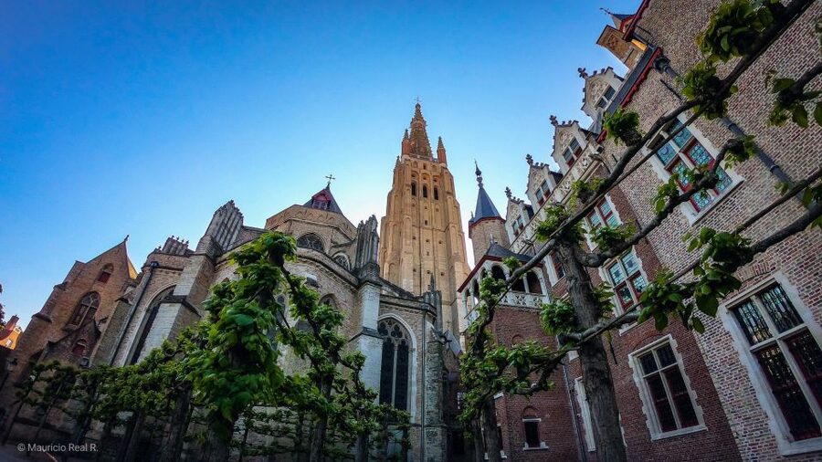 Bruges: Private Historical Highlights Walking Tour - Who should book this tour, and who might want a different fit
