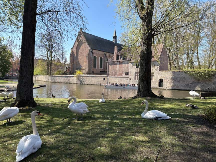 Bruges: private tour - highlights & hidden gems - Belfry of Bruges: setting the tone for the whole route