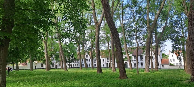 Bruges: private tour - highlights & hidden gems - Huidenvettersplein to Rozenhoedkaai: the canal-view rhythm