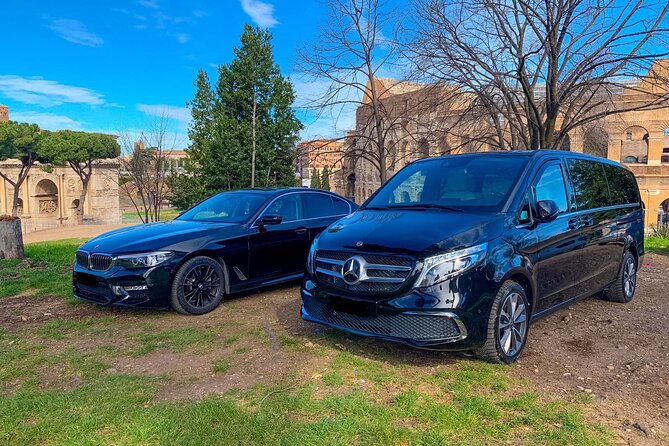 Brussels Airport (BRU) to Brussels - Round-Trip Private Transfer - What this private BRU transfer actually gives you