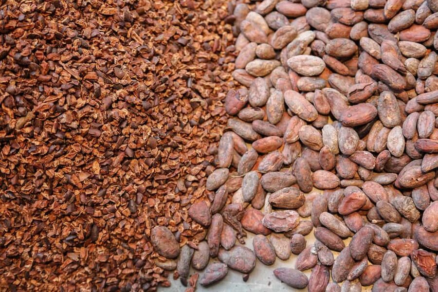 Brussels: Chocolate Appreciation and Tasting Walking Tour - Price, timing, and who this 2-hour walk is perfect for