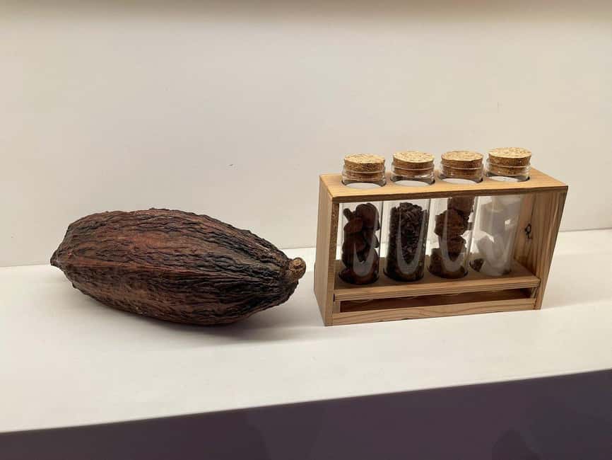 Brussels: Chocolate Appreciation and Tasting Walking Tour - Start at Royal Galleries of Saint Hubert, outside Roseline d’Oreye