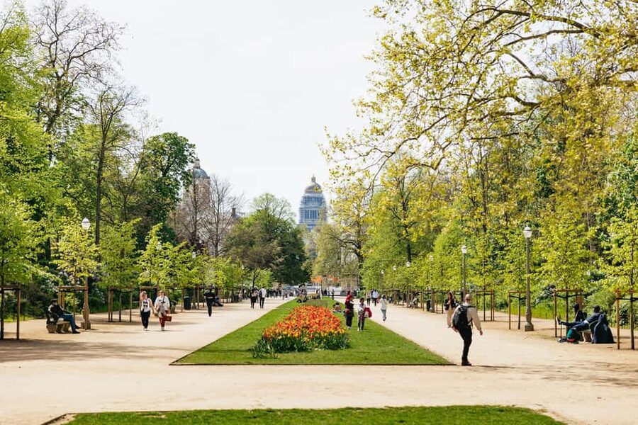 Brussels: City Highlights and Hidden Gems Bike Tour - Who Should Book This Tour (and Who Might Skip It)