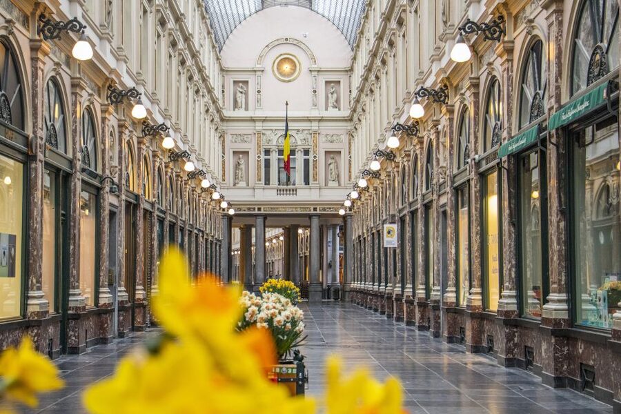 Brussels: Express Walk with a Local in 60 minutes - Manneken Pis and the local angle on a tiny, famous figure