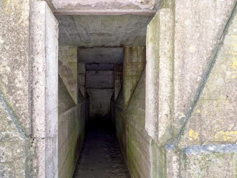Brussels: Private World War I Tour: Trenches & Battlefields - Getting to the battlefields, the comfortable way