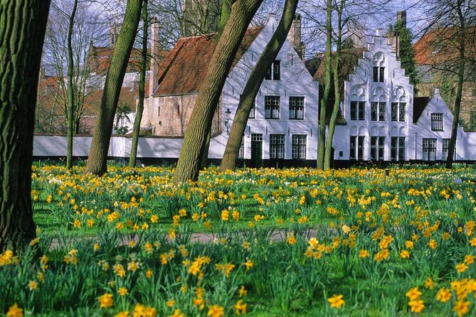 Brussels to Bruges: Private & Personalized Day Trip with a Local - Key things I’d zero in on first