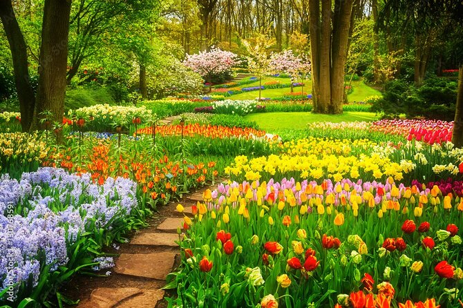 Delft and Keukenhof Gardens Tour from Brussels - Spring bloom reality check: it’s worth it, but not guaranteed