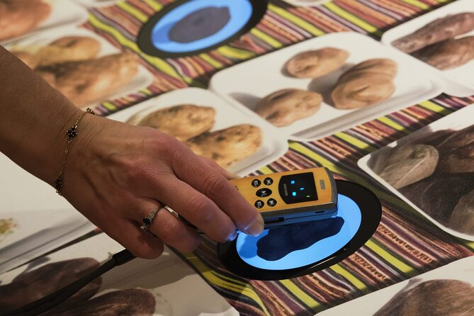 Entrance ticket to the Musée DE la Frite in Brussels - Interactive games, films, and frituristes testimonies