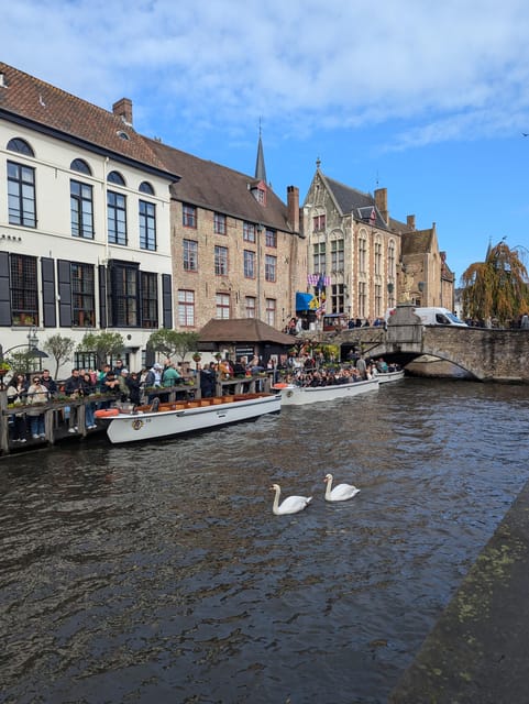 Exclusive PRIVATE Walking Tour of Bruges - What your guide covers on this Bruges overview walk