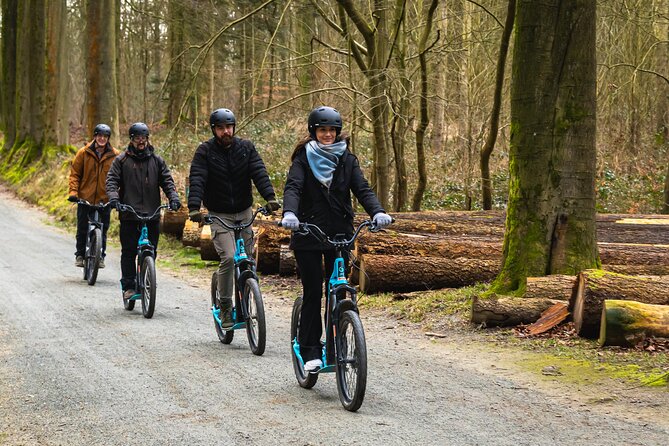 Explore Nature with All-Terrain E-Scooters - Park van Tervuren: your first taste of the forest rhythm