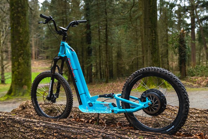 Explore Nature with All-Terrain E-Scooters - Abbaye du Rouge Cloitre: adding a historic stop without losing the outdoors vibe