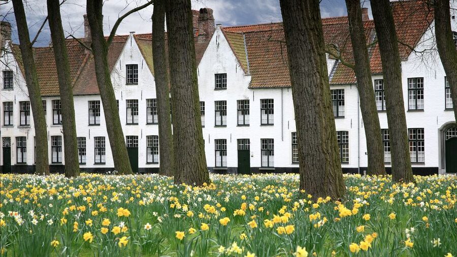 From Amsterdam: Bruges Day Trip in English with Boat Option - Should you book this Amsterdam to Bruges day trip?