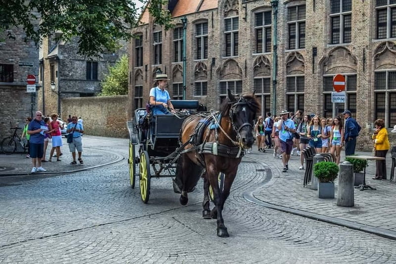 From Amsterdam: Private Sightseeing Tour to Bruges - Key Points You’ll Notice Fast