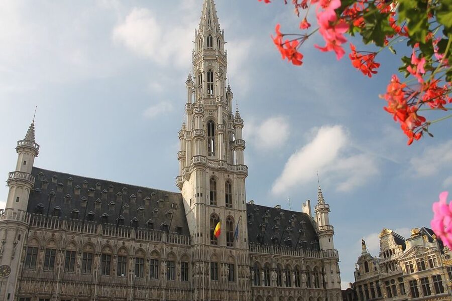 From Amsterdam: Private Sightseeing Trip to Brussels - Grand Place and Market Square: start in the historic heart