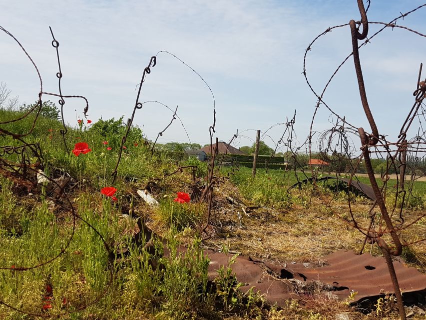 From Bruges: Great War Flanders Fields Minibus Tour w/ Lunch - Price and Value for 9 Hours of WWI Sites