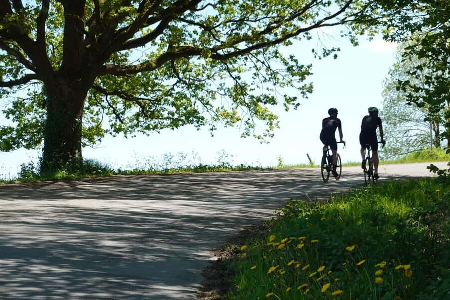 From Brussels to Flanders 100km road cycling tour - Bosberg Climb and the Top-Café Break That Changes the Mood