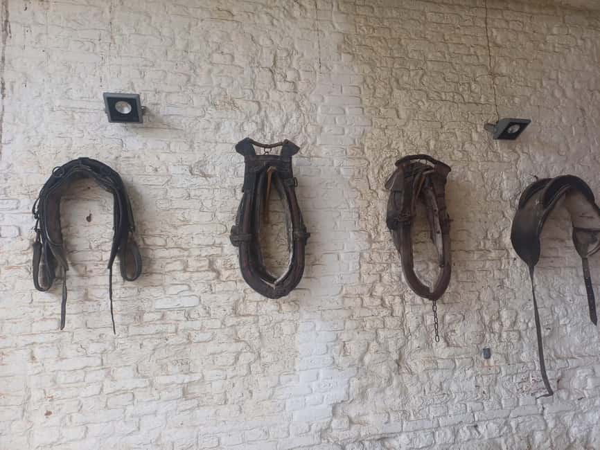 "From Brussels: Waterloo Battlefield History Private Tour - Papelotte Farm and Wellington’s headquarters sites