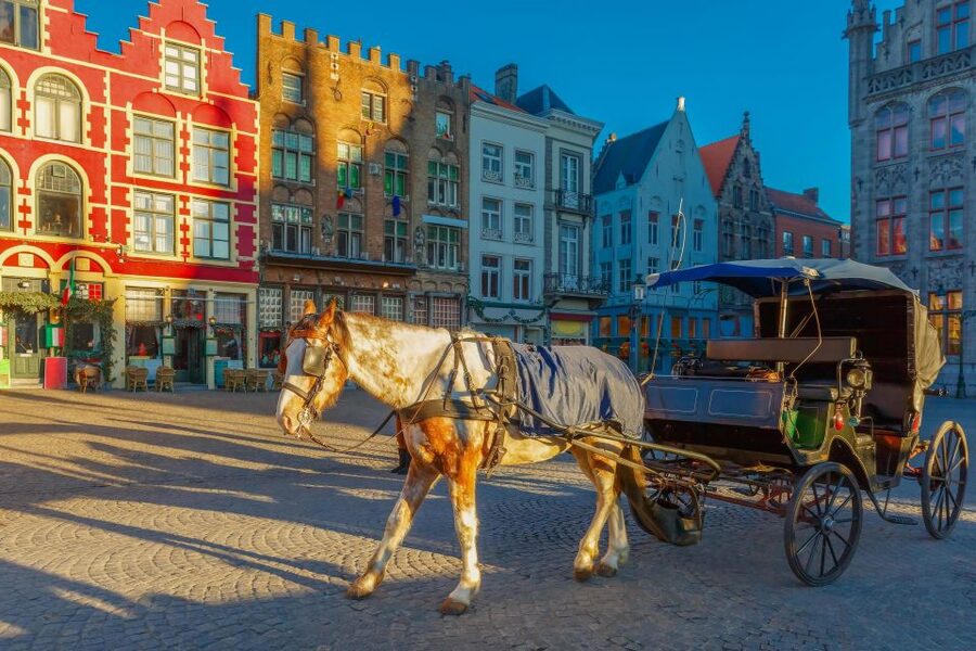 From Paris: Day Trip to Bruges with Optional Seasonal Cruise - Crossing from Paris to Bruges with a comfortable coach and real break stops