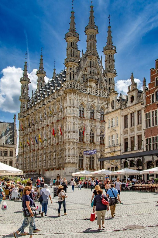 Historical Leuven: Private Walking Tour with a Local Guide - Who this private walking tour suits best