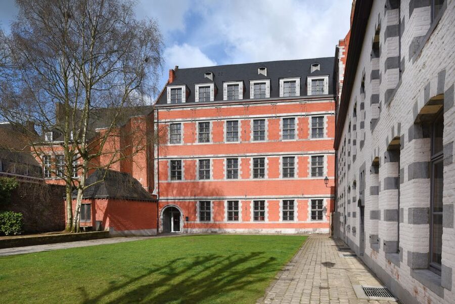 Mons : The Doudou Museum - Technology and film clips: how the museum makes folklore easier to grasp