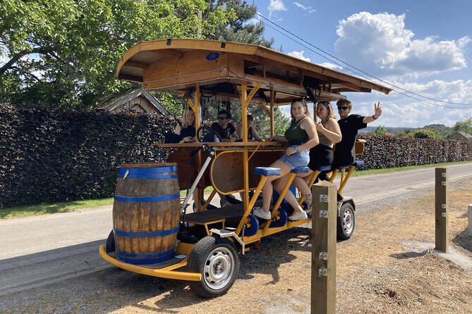 Private Beer Bike Tour in Hotton in the Belgian Ardennes - Drinks onboard: beer bike choices without the stress