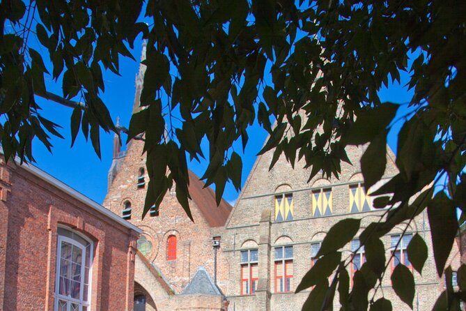 Private Customizable Guided Tour: Explore at Your Own Pace - Burg Square and Vismarkt: power and everyday life