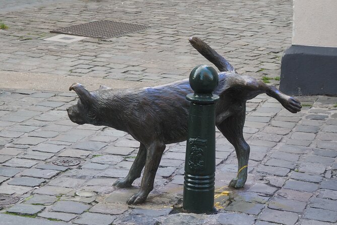 Private Half Day Tour of Brussels - Timing, Walking Pace, and How the Guide Keeps It Comfortable
