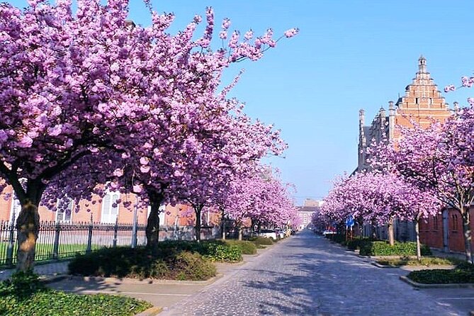 Private Hidden Gems Walking Tour in Ghent - Practical tips for your 3-hour route