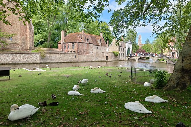 Private Highlights Walking Tour in Bruges - The Burg: where the story gets more official