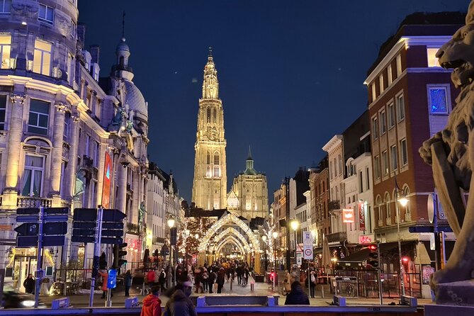Private Historical Walking Tour in Antwerp City - Price and logistics: what your money buys