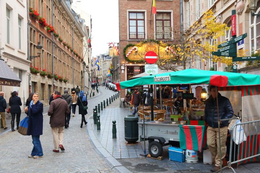 Private Tour: Experience the Christmas Magic in Brussels - Price and Value: What $252 Buys You Here