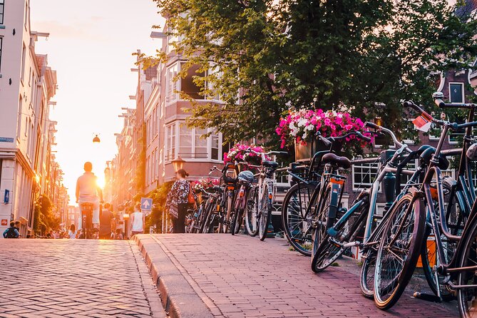 Private transfer from Bruges to Amsterdam, 2h Stop in Antwerp - Key things to know before you go