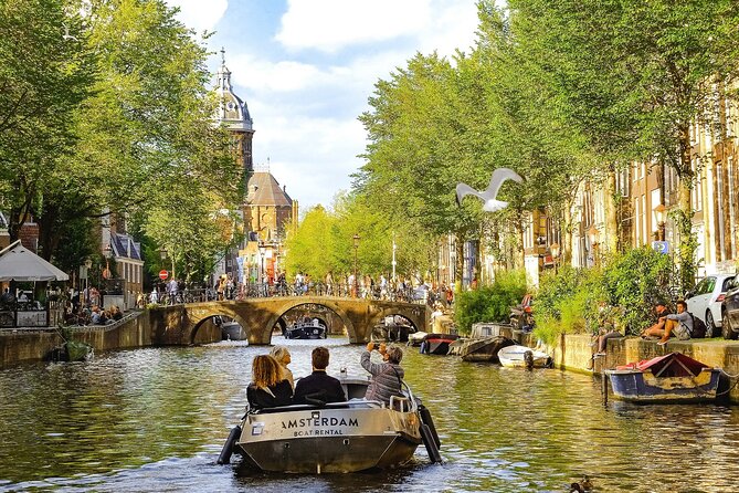 Private transfer from Bruges to Amsterdam, 2h Stop in Utrecht - What the Driver Actually Does During the Ride