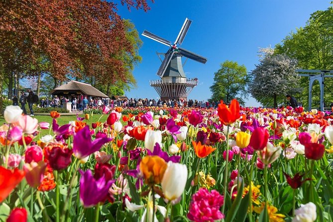 Private Transfer from Brussels to Amsterdam - Key Highlights You’ll Actually Feel
